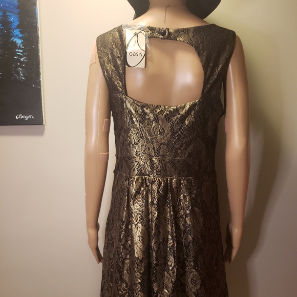 Black Gold OASIS Lace Dress - Picture 7 of 12